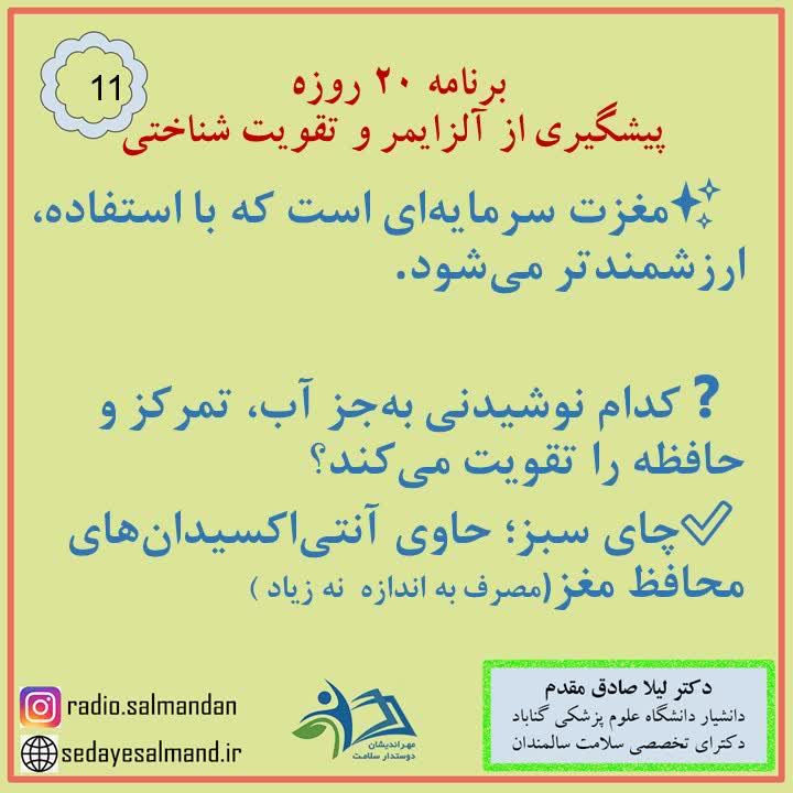 برنامه 20 روزه پیش گیری از آلزایمر 2-5