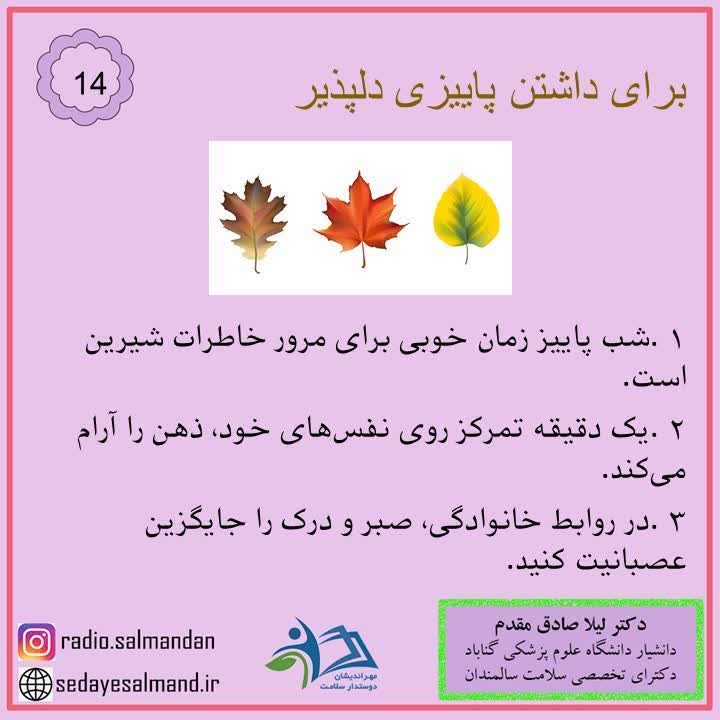 برای داشتن پاییز دلپذیر2-4