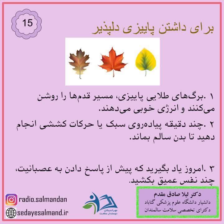 برای داشتن پاییز دلپذیر2-5