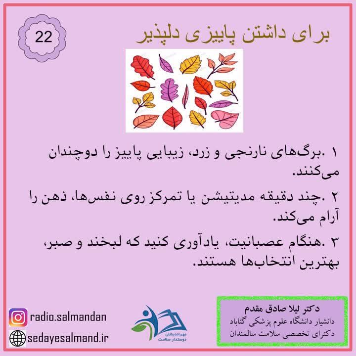 داشتن پاییز دلپذیر 3-2