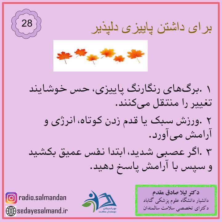 داشتن پاییز دلپذیر 3-8